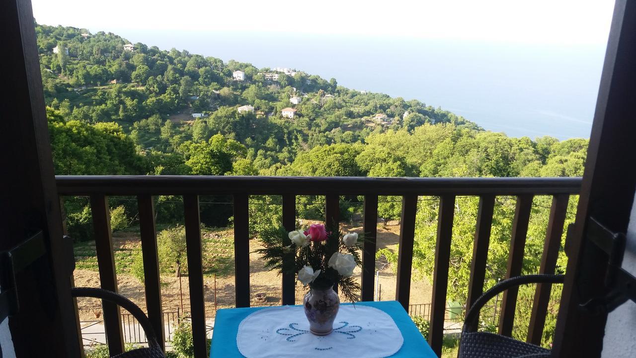 Diogenis Hotel Tsagarada Zewnętrze zdjęcie