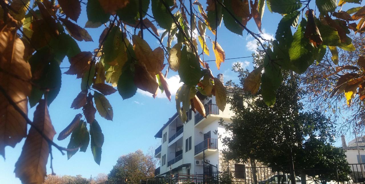 Diogenis Hotel Tsagarada Zewnętrze zdjęcie